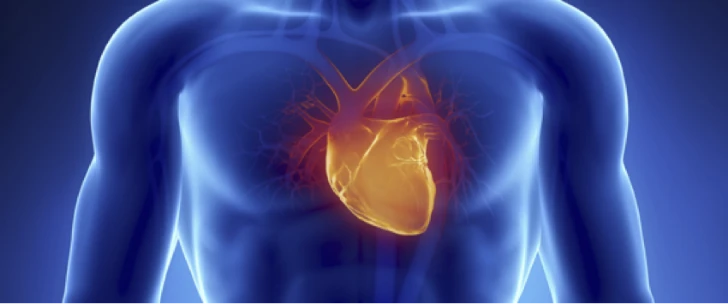 Arte ilustrativa, mostra o coração no corpo humano, remetendo ao sistema lean.
